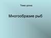 Многообразие рыб. Класс Хрящевые рыбы