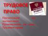 Трудовое право. Декларация прав и свобод человека и гражданина
