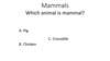 Mammals. Which animal is mammal  (викторина)