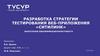 Разработка стратегии тестирования веб - приложения «Ситилинк»