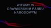 Witamy w Drawieńskim Parku Narodowym