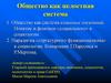 Общество как целостная система