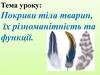 Покриви тіла тварин, їх різноманітність та функції