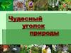Чудесный уголок природы