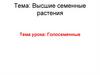 Высшие семенные растения. Голосеменные