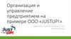 Организация и управление предприятием на примере ООО «JUSTUP!»