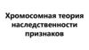 Хромосомная теория наследственности признаков