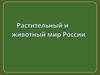 Растительный и животный мир России