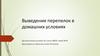Выведение перепелок в домашних условиях