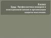 Профилактика пожаров в повседневной жизни и организация защиты населения. (8 класс)