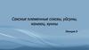 Сакские племенные союзы, уйсуны, кангюи, хунны. Лекция 3