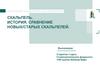 Скальпель. История. Сравнение новых/старых скальпелей