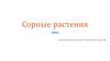 Сорные растения