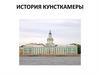 История кунсткамеры