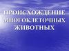 Происхождение многоклеточных животных