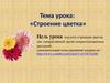 Строение цветка