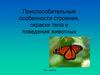 Адаптация. Приспособительные особенности строения, окраски тела и поведения животных
