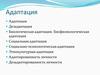 Адаптация и дезадаптация