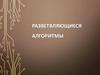 Разветвляющиеся алгоритмы