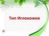 Тип Иглокожие. Биология. 7 класс
