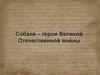 Собаки – герои Великой Отечественной войны