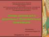 Основы режима дня в дошкольных образовательных организациях