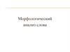 Морфологический анализ слова