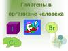 Галогены в организме человека