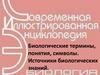 Биологические термины, понятия, символы. Источники биологических знаний
