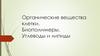Органические вещества клетки. Биополимеры. Углеводы и липиды
