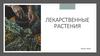 Лекарственные растения