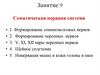 Соматическая нервная система. Функции нервной системы. Занятие 9