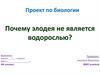 Почему элодея не является водорослью?