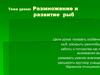 Размножение и развитие рыб