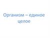 Организм - единое целое
