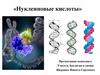 Нуклеиновые кислоты. Строение и функции