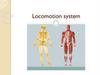Locomotion system