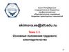Основные положения трудового законодательства. Тема 1.1
