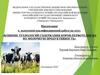 Влияние технологий содержания коров-первотелок на их молочную продуктивность