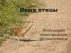 Наши птицы. Фотографии нижегородских фотоохотников