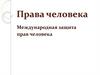 Права человека. Международная защита прав человека