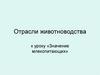 Отрасли животноводства (к уроку «Значение млекопитающих»)