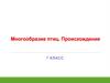 Многообразие птиц. Происхождение. 7 класс