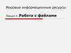 Мировые информационные ресурсы. Лекция 4. Работа с файлами