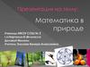 Математика в природе