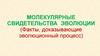 Молекулярные свидетельства эволюции (факты, доказывающие эволюционный процесс)