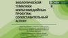 Способы подачи информации в мультимедийных проектах на тему экологии