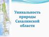 Уникальность природы Сахалинской области