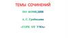 Темы сочинений по комедии "Горе от  ума"