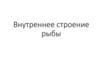 Внутреннее строение рыбы